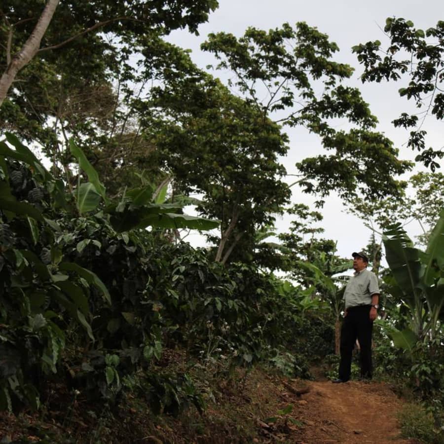 Nicaragua Finca San Ramón Washed | Hasbean