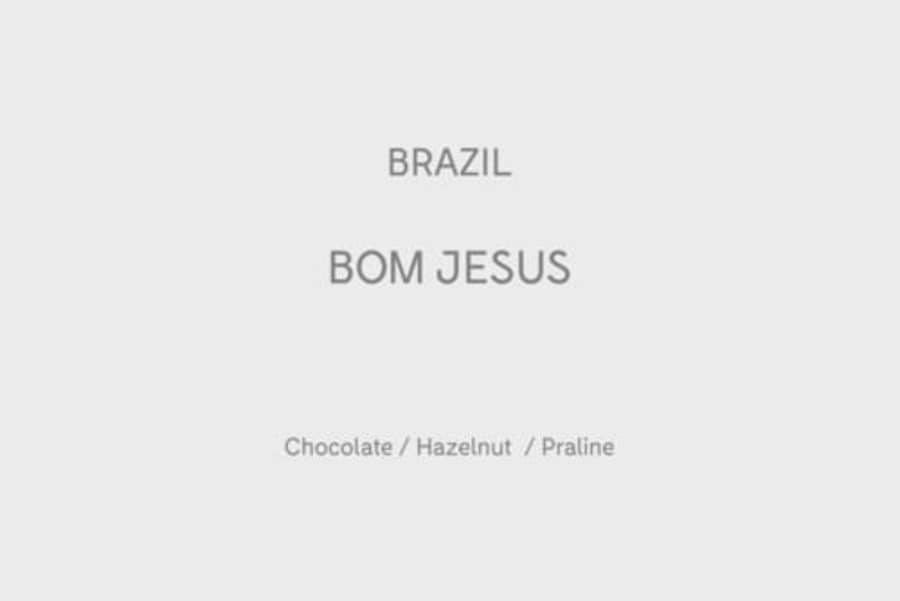 Brazil Fazenda Bom Jesus | Strangers Coffee