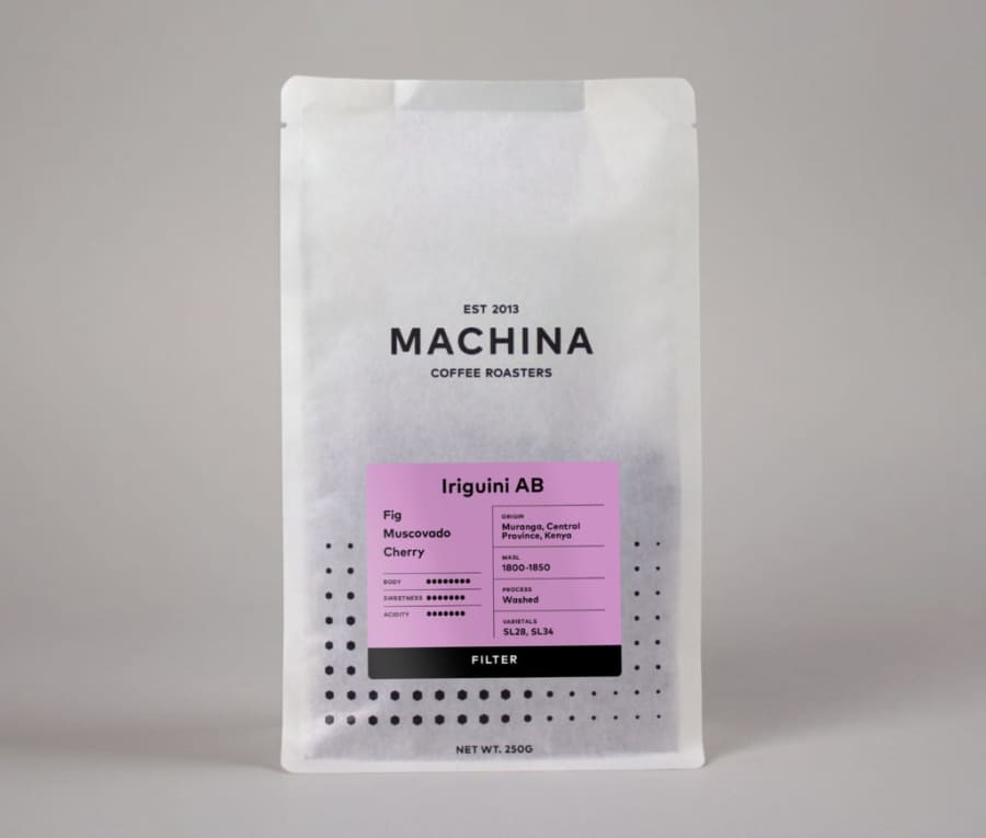 Iriguini AB Washed Filter | Machina Coffee