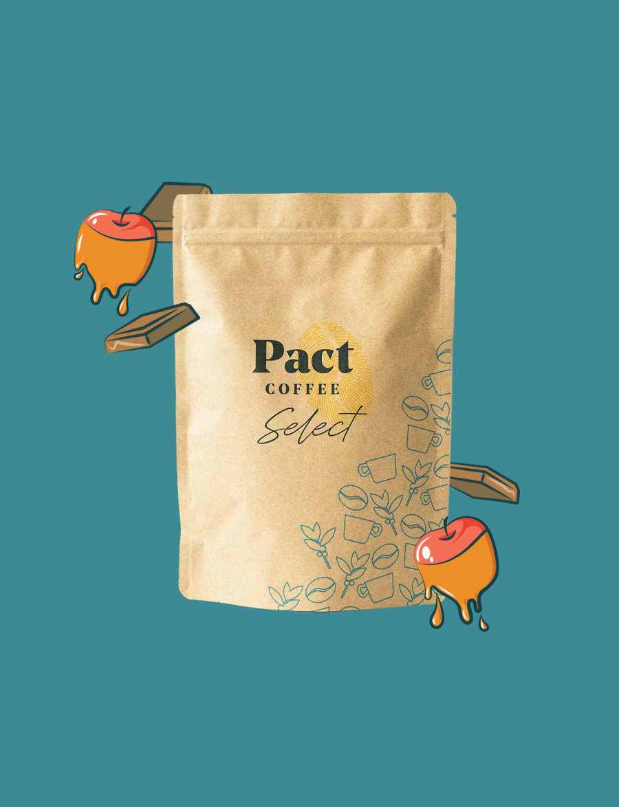 Chapada | Pact Coffee