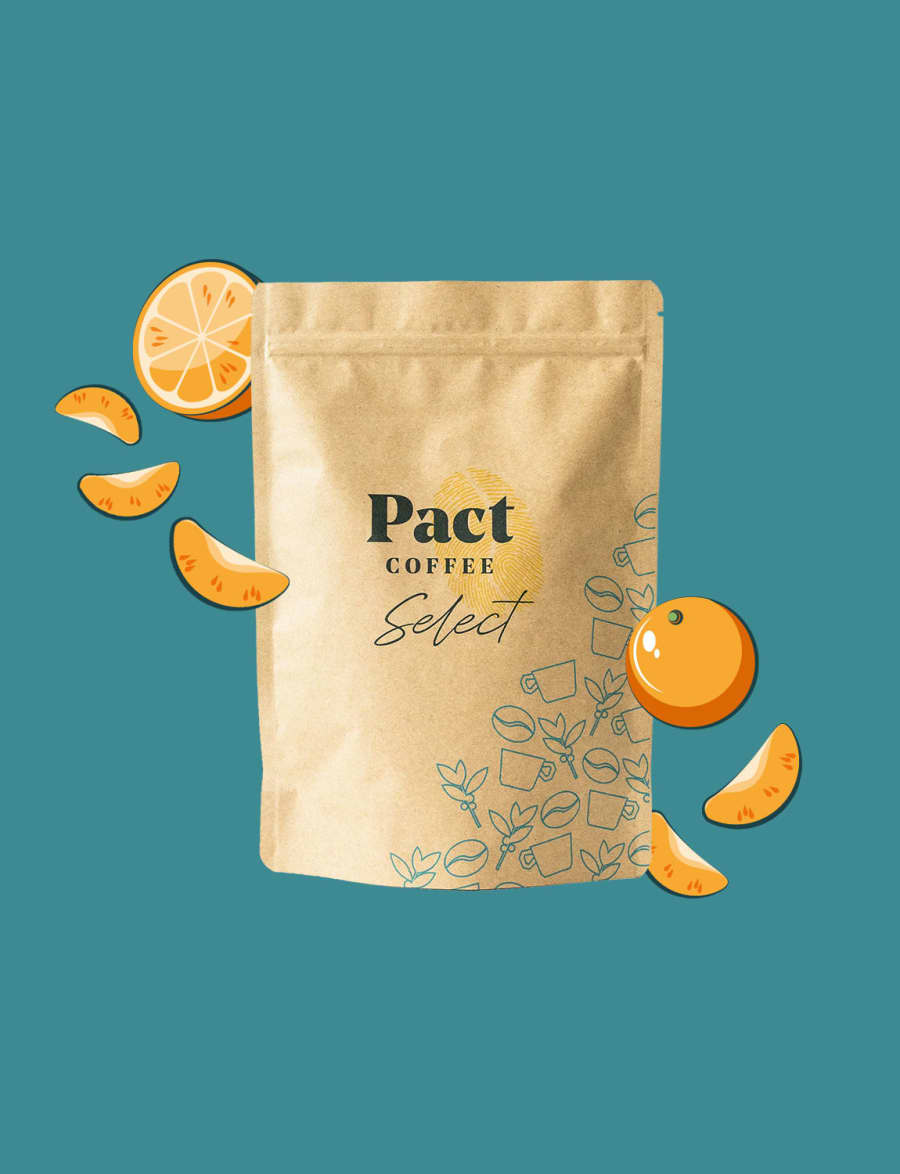 El Cairo | Pact Coffee