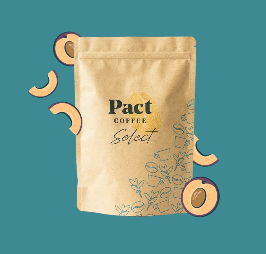 Buenos Aires | Pact Coffee