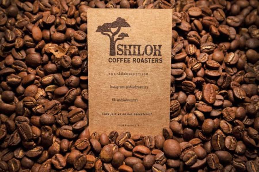 India Monsoon Malabar | Shiloh Coffee Roasters