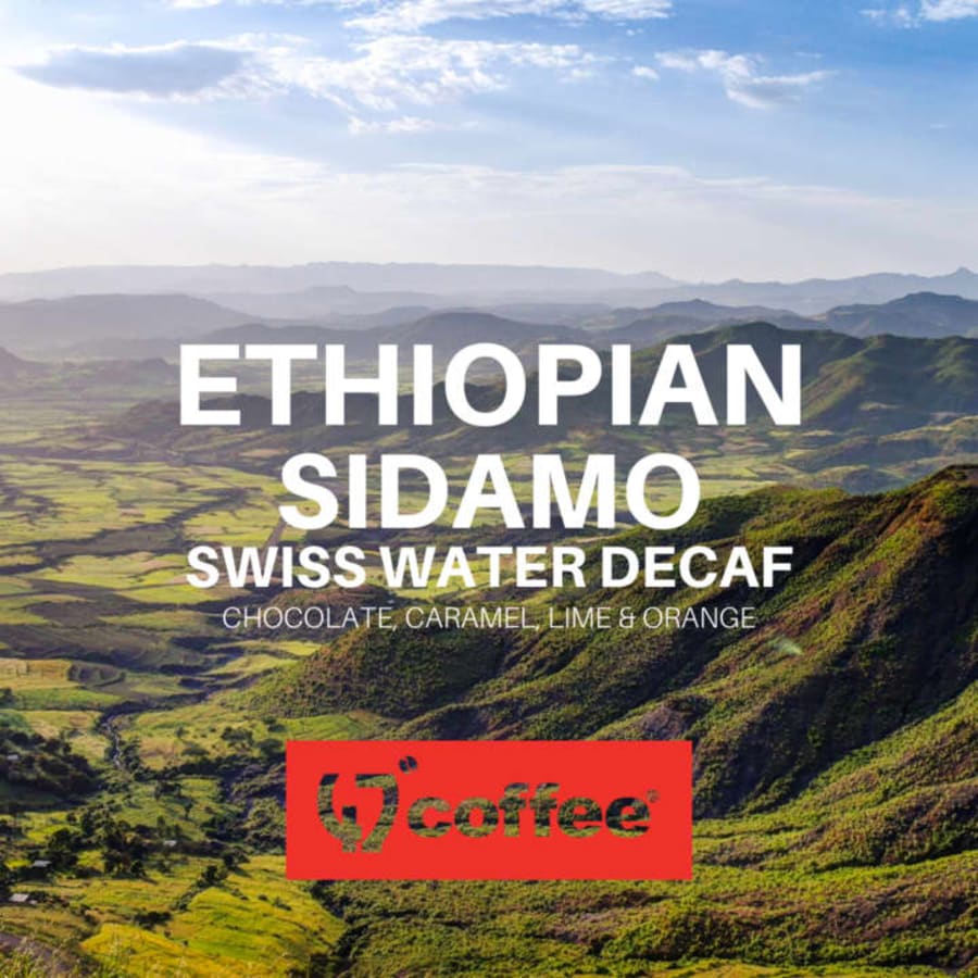 Ethiopian-Sidamo Swiss Water Decaf | 47 Degrees Coffee Roasters