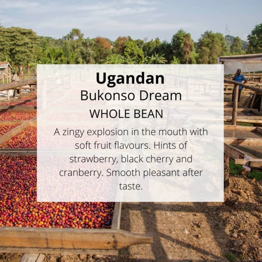 Ugandan Bukonzo Dream | Well Roasted Coffee