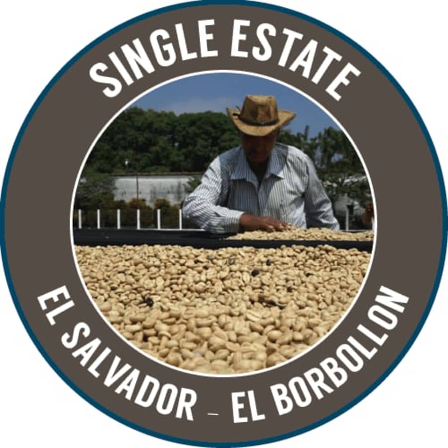 El Salvador: El Borbollon | Rinaldo's Coffee