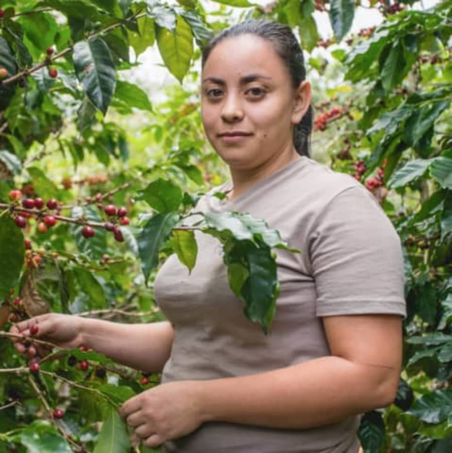 Honduras Amprocal Women's Cooperative Fairtrade Organic | The Bean Shop