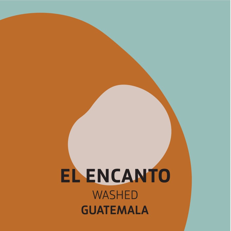 El Encanto | Fortitude Coffee