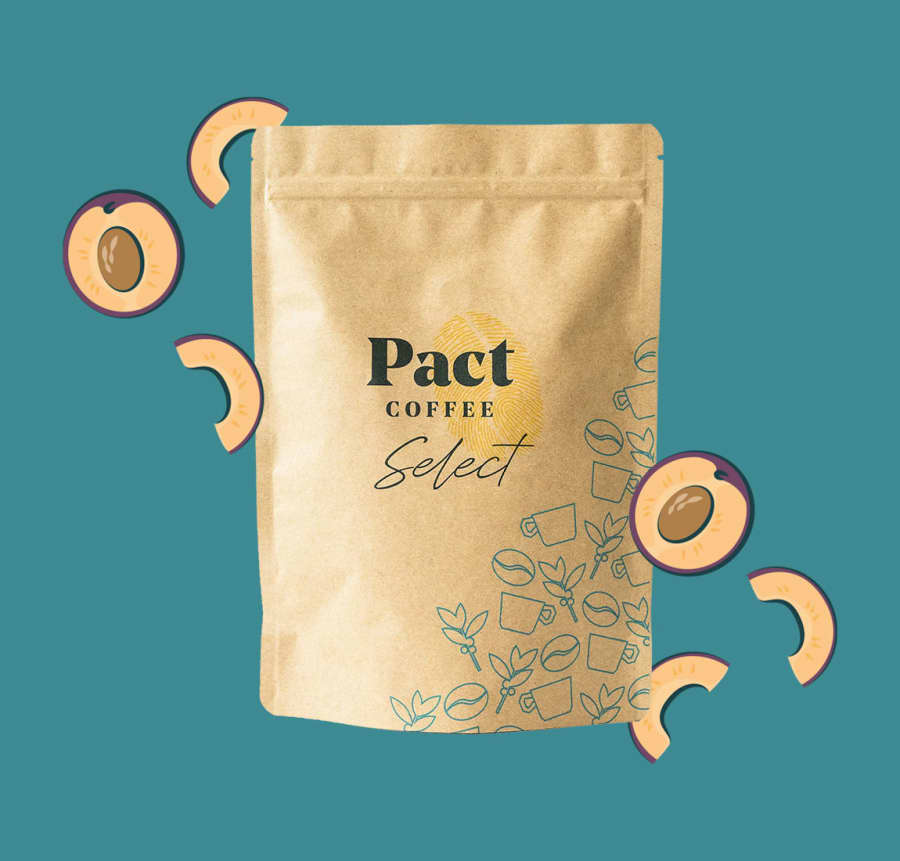 Finca Buenos Aires | Pact Coffee