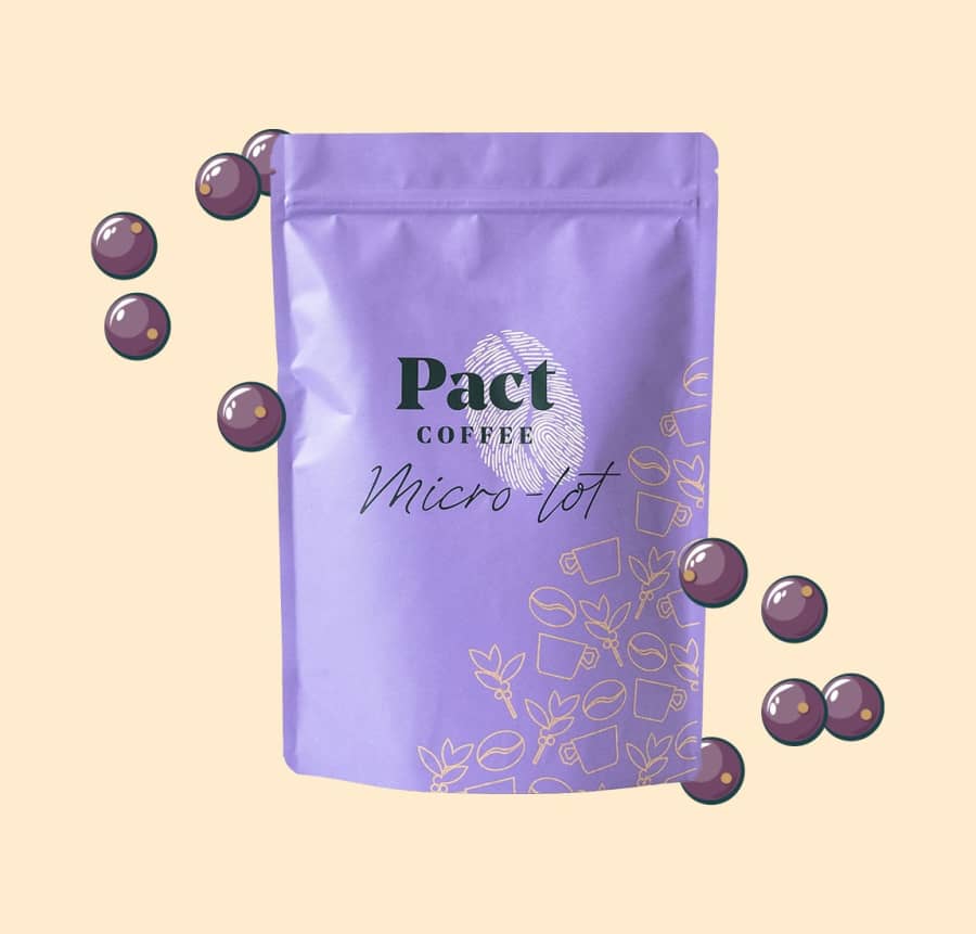 Kamuyu | Pact Coffee