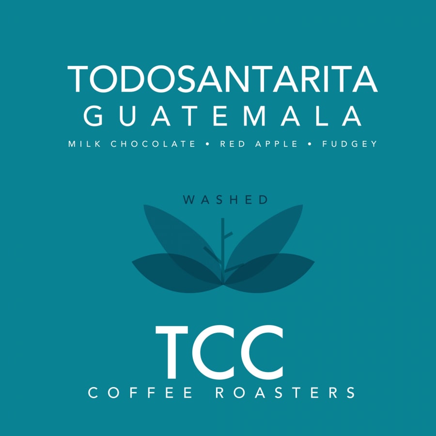 Guatemala Todosantarita | The Coffee Counter