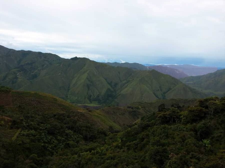 Colombia Inza Cauca Smallholders | Coffee Compass