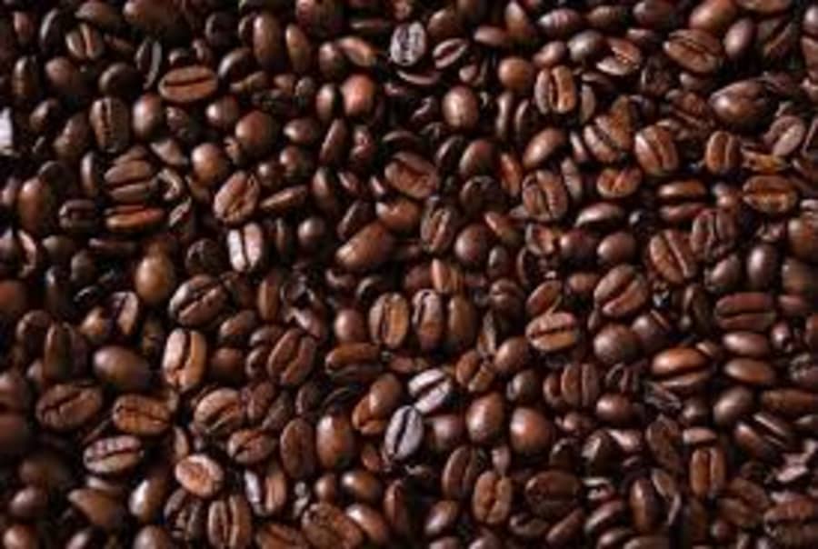 Burundi Rubanda | Bristol Twenty Coffee Company