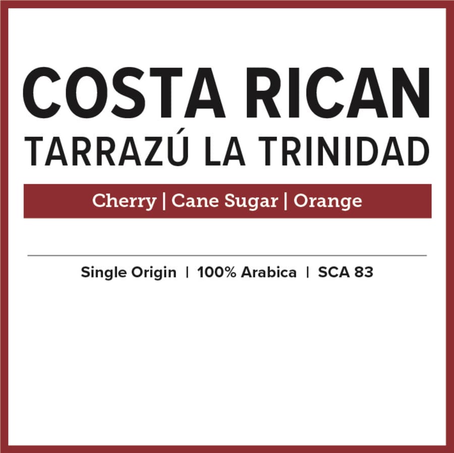 Tarrazu La Trinidad | Wogan Coffee