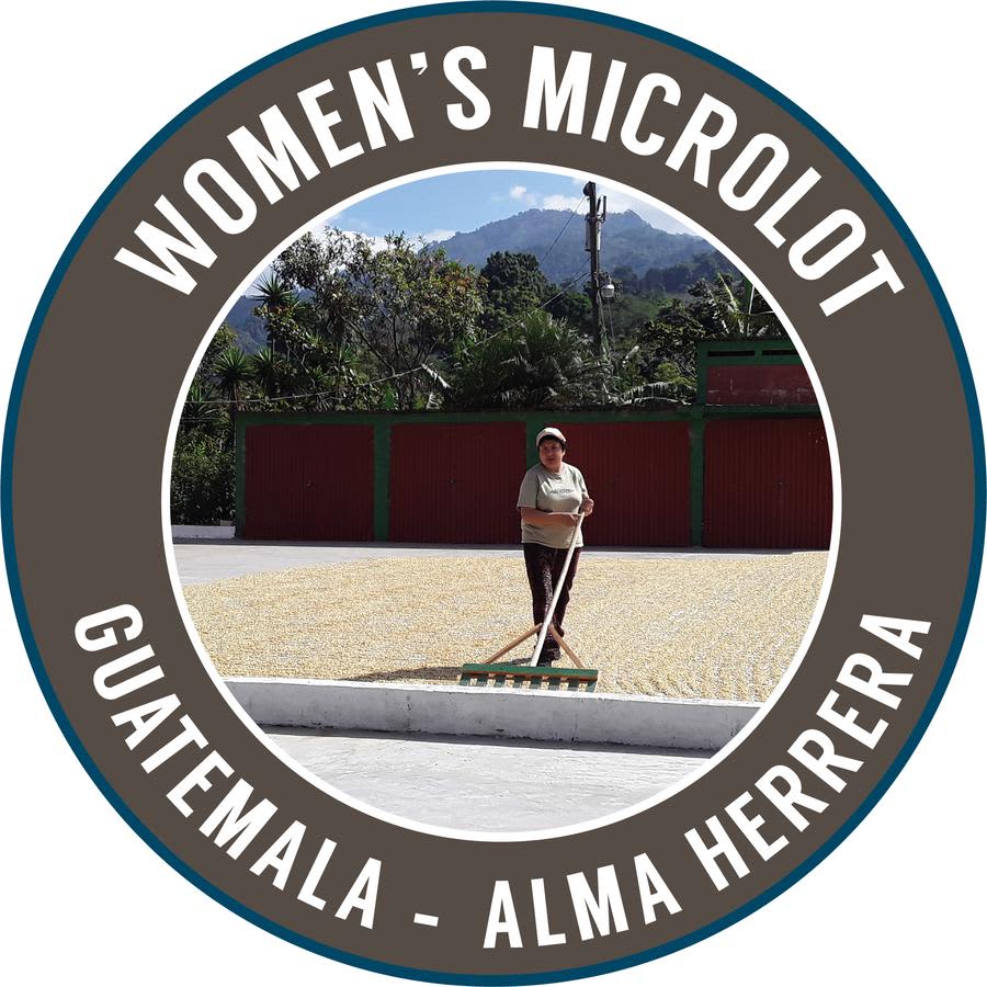 Guatemala: Alma Herrera | Rinaldo's Coffee