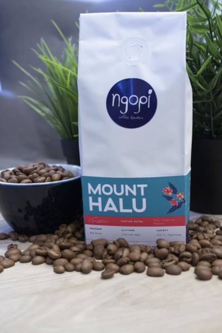 Mount Halu | Ngopi UK