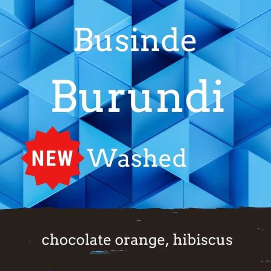 Businde (washed) | Foundry Coffee Roasters