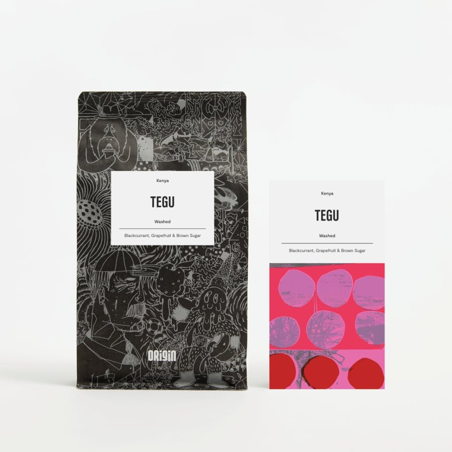 Tegu | Origin Coffee Roasters