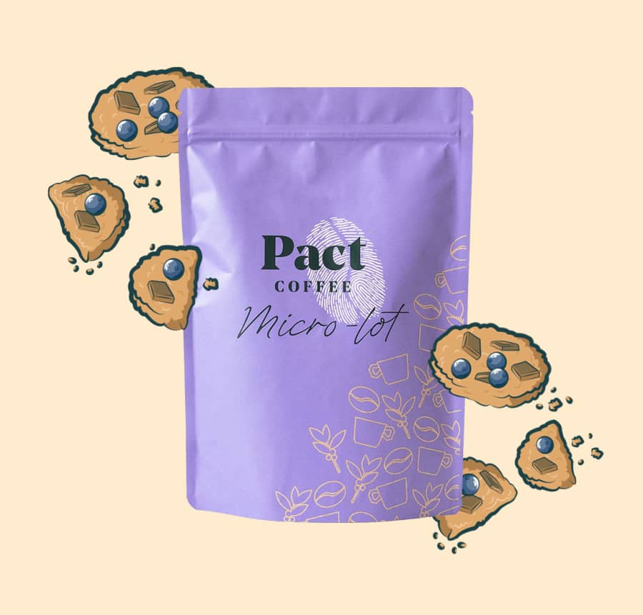 Comunidade Chapadao Micro-Lot | Pact Coffee