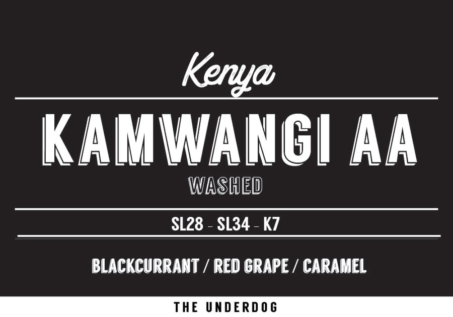 Kamwangi AA | The Underdog