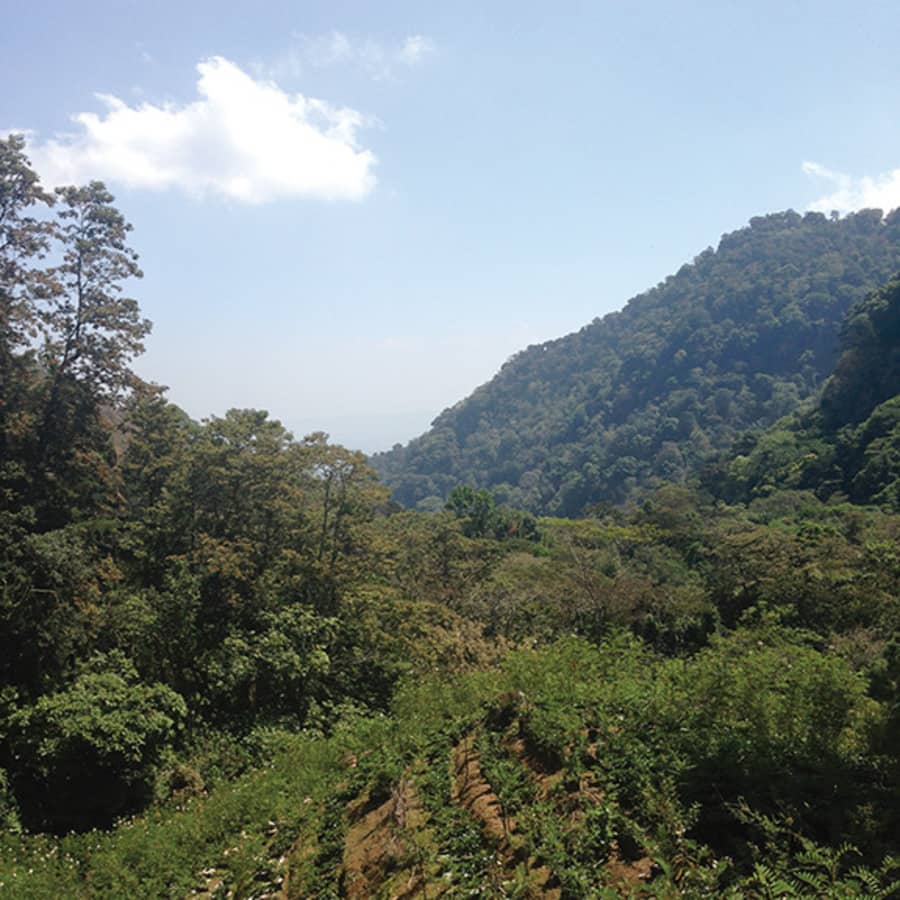 Guatemala Atitlán La Voz | Blue Bottle Coffee