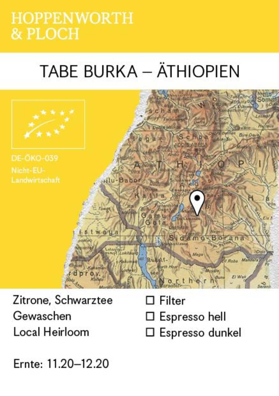 Tabe Burka | Hoppenworth & Ploch