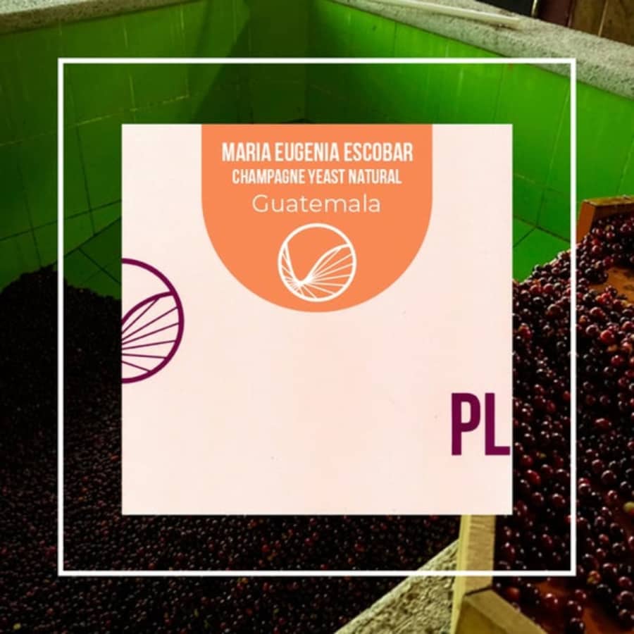 Maria Eugenia Escobar Guatemala | PLOT Roasting