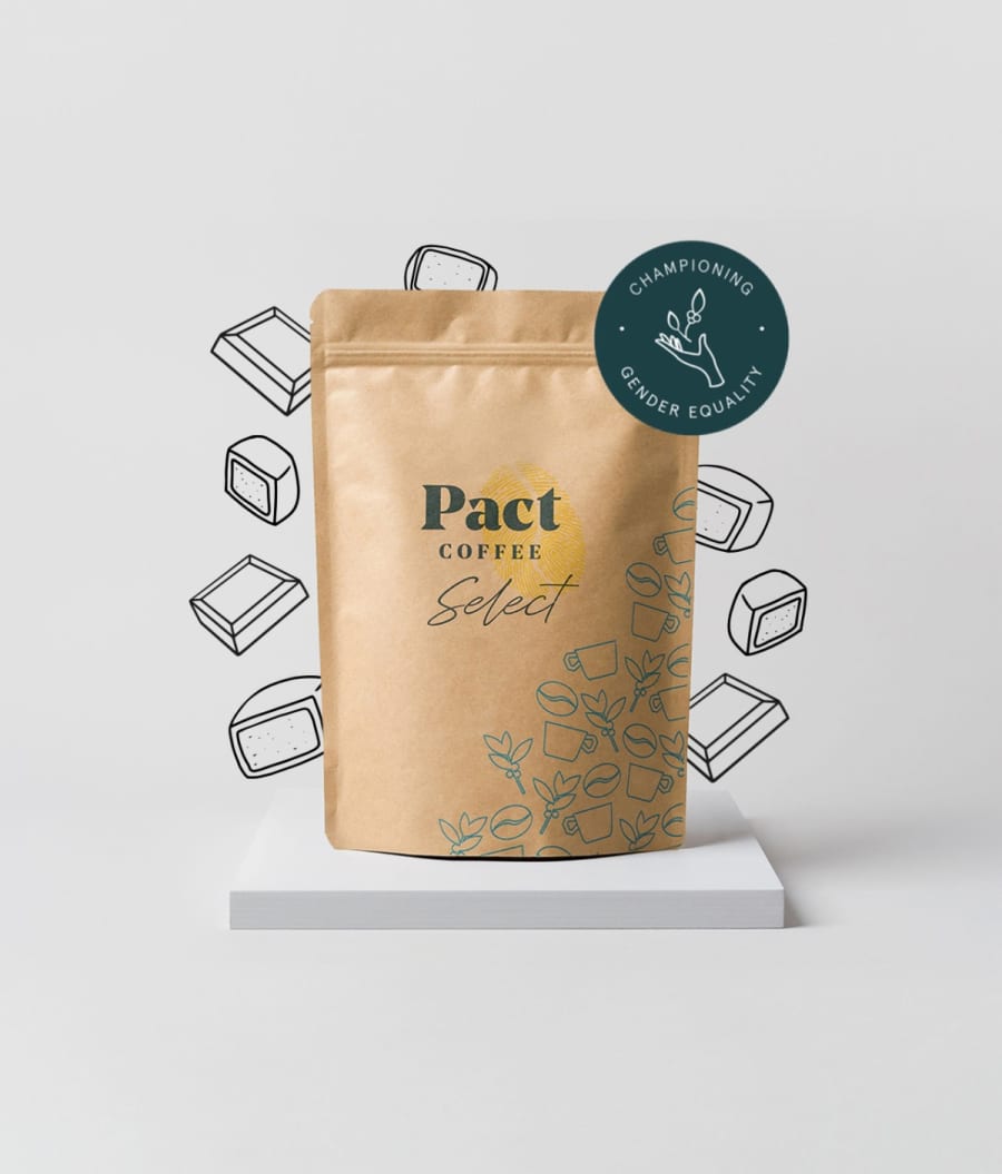 Irmãs pereira | Pact Coffee