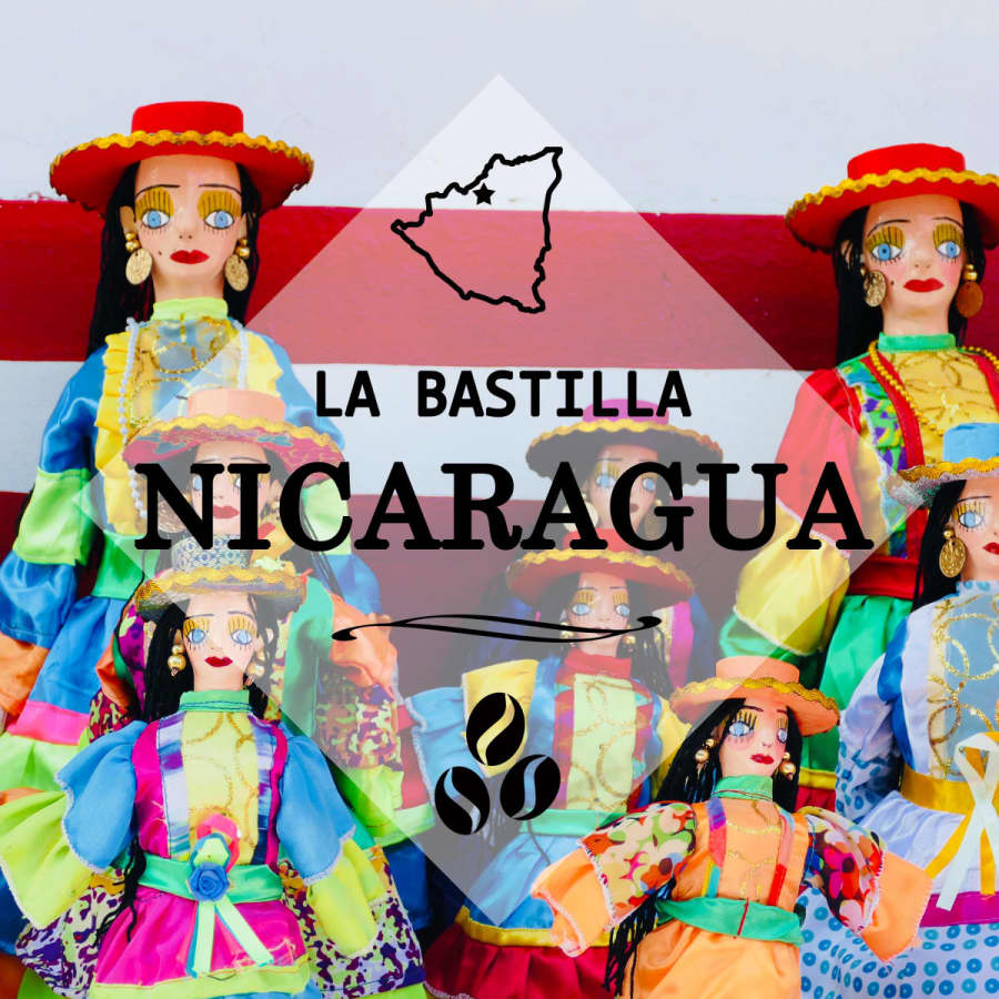 Nicaragua La Bastilla natural | Strigo Coffee