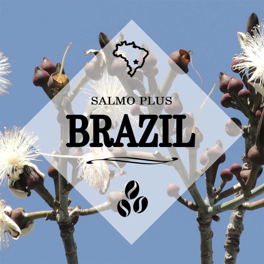 Brazil Salmo Plus natural | Strigo Coffee