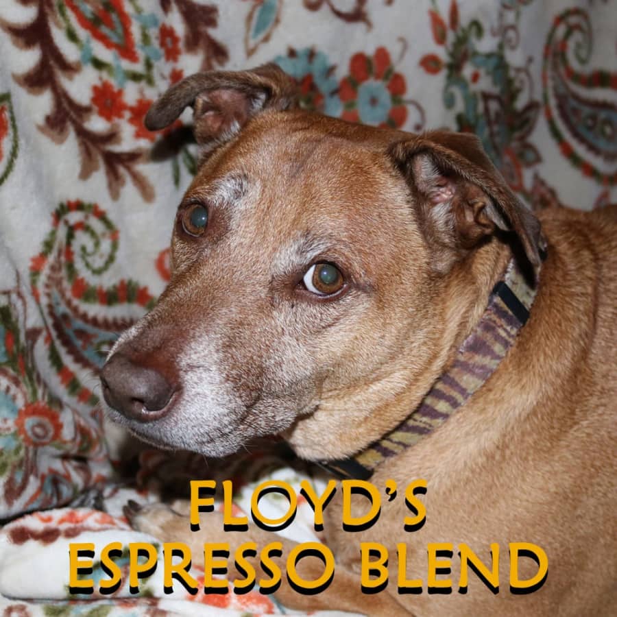 Floyds Espresso Blend | Strigo Coffee