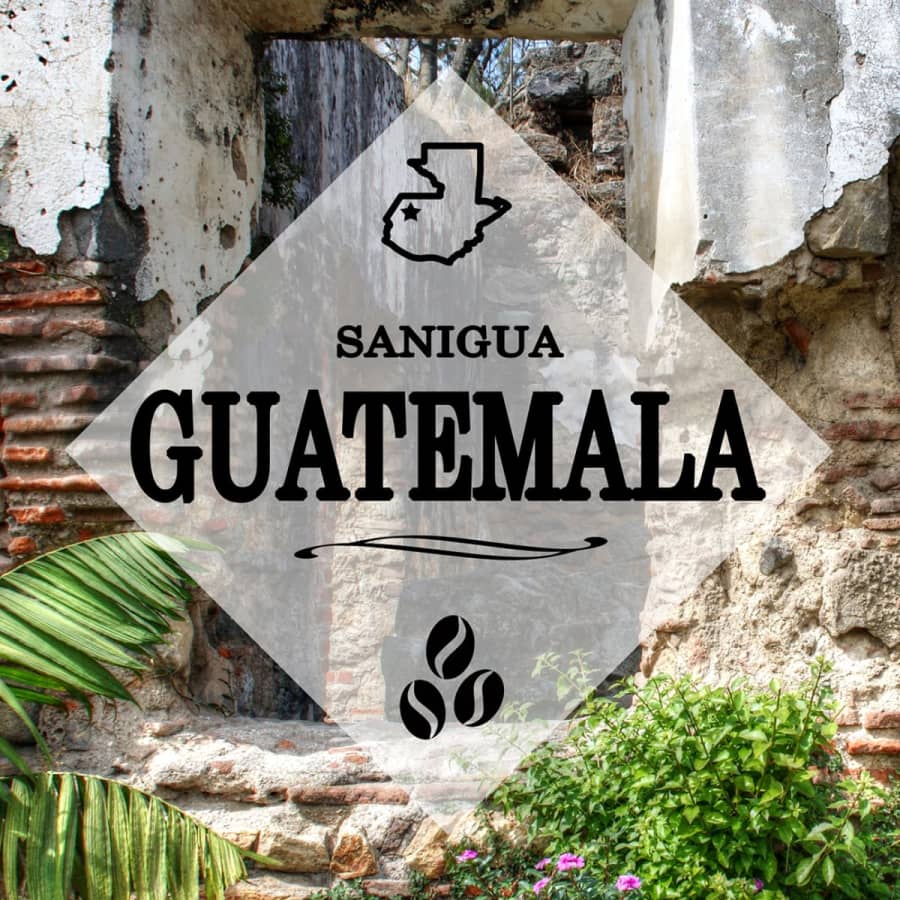 Guatemala Sanigua | Strigo Coffee