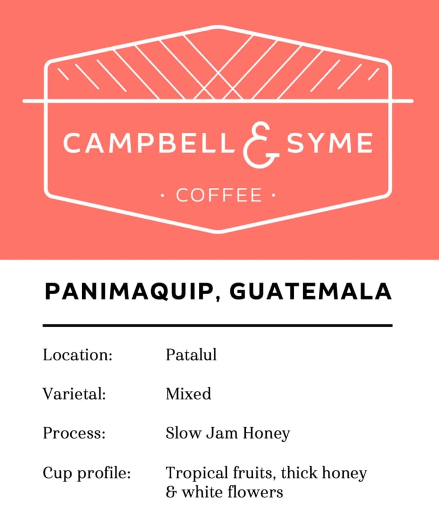 Panimaquip | Campbell and Syme