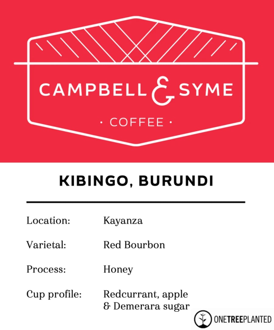 KIBINGO, BURUNDI (One Tree Planted) | Campbell and Syme