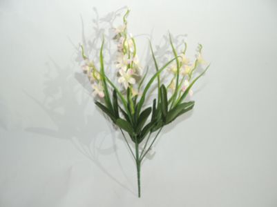 6叉香水兰 35cm 白加粉(12 unidades)