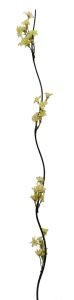 Flor seca 160cm color Beige