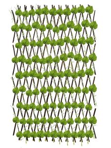 Barrera Hoja grande 120CM M1