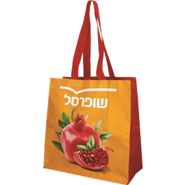 <!--begin:cleartext-->ממגוון תיק קניות רב פעמי3 יח' ב- 10₪<!--end:cleartext-->