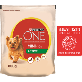 <!--begin:cleartext-->₪ קנה ממגוון פורינה ONE מזון לכלבים 800 גרם במחיר 28.90 ₪ במקום 34.90<!--end:cleartext-->