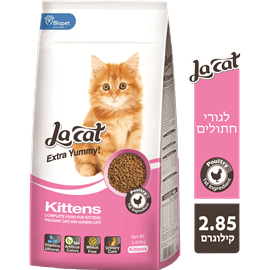 <!--begin:cleartext-->ממגוון לה קט 2.85 ק''ג2 יח' ב- 130₪<!--end:cleartext-->