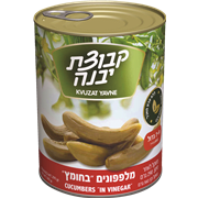 <!--begin:cleartext-->₪ קנה 3 יחידות ממגוון שימורים במחיר 12<!--end:cleartext-->