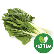 <!--begin:cleartext-->ממגוון עלי מנגולד אורגני יחידה גרין2 יח' ב- 17.90₪<!--end:cleartext-->