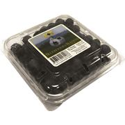 <!--begin:cleartext-->ממגוון אוכמניות טריות ארוז2 יח' ב- 24.90₪<!--end:cleartext-->