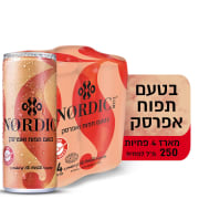 <!--begin:cleartext-->ממגוון מארז משקה נורדיק מוגז בטעמים 4*250 מ''ל2 יח' ב- 26₪<!--end:cleartext-->