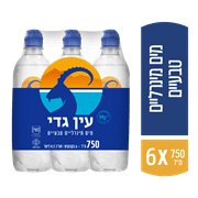 <!--begin:cleartext-->₪ מים עין גדי 6*750 מ''ל ב- 15.90₪ במקום 16.90<!--end:cleartext-->