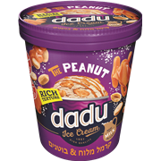 <!--begin:cleartext-->ממגוון גלידות שמנת בטעמים 250-500 גרם2 יח' ב- 30₪<!--end:cleartext-->