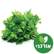 <!--begin:cleartext-->ממגוון כוסברה/פטרוזיליה/שמיר/נענע אורגני יחידה גרין2 יח' ב- 13.90₪<!--end:cleartext-->