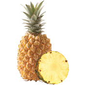 <!--begin:cleartext-->אננס ראש - יחידה2 יח' ב- 25₪<!--end:cleartext-->