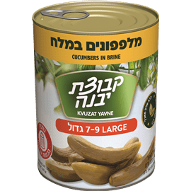 מלפפונים 7-9 במלח