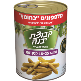 מלפפון בחומץ 18-25